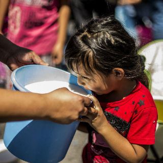 Destacan los valores nutrimentales que proporciona la leche