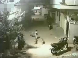 El video muestra cómo dos niños pequeños caminan por una calle y varios perros se lanzan en contra de ellos. YOUTUBE /  El Mundo Viral