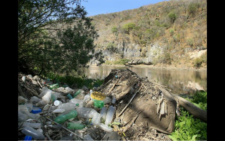 La acumulación de basura en ríos y arroyos obstruye el cauce del agua, lo que conlleva a desbordamientos e inundaciones. EL INFORMADOR / ARCHIVO