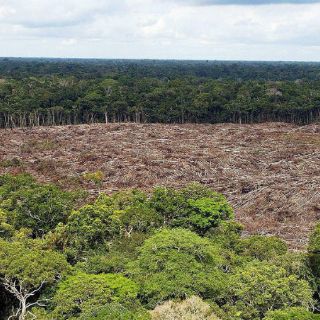 Este 5 de junio, Día Mundial del Medio Ambiente