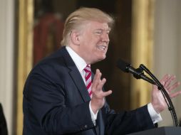 Durante dicho discurso, Trump aleccionó a los aliados de la OTAN por no pagar su parte justa en materia de defensa. EFE / M. Reynolds