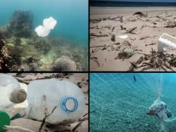 Los océanos están siendo dañados gravemente por contaminación, pesca excesiva y los efectos del cambio climático. YOUTUBE / NacionesUnidasVideo