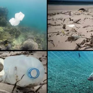 Los océanos están más amenazados que nunca: ONU