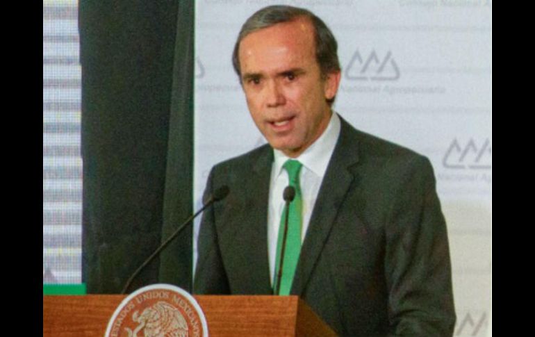 Bosco de la Vega, presidente del CNA. 'El acuerdo fue de 70% de azúcar cruda y 30% refinada; EU estaba solicitando el 85 y el 15%'. ESPECIAL / CUARTOSCURO
