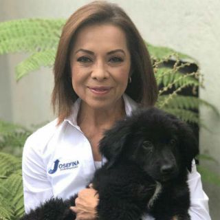 Vázquez Mota asegura que su trabajo político aún ‘no termina’