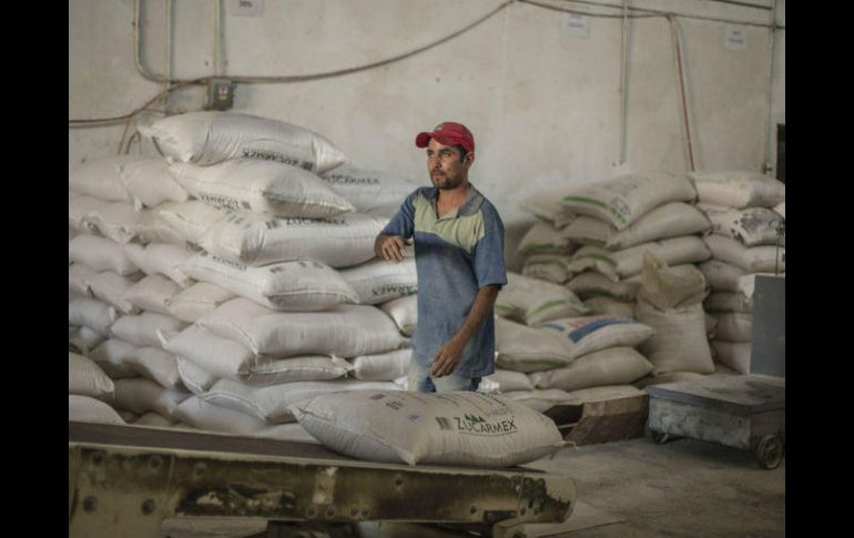 Derivado de este acuerdo la industria nacional aumentará el volumen de exportación a dos millones de toneladas para 2018. EL INFORMADOR / ARCHIVO