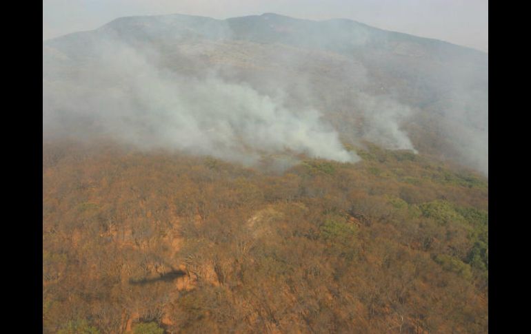 El fuego comenzó el domingo 4 de junio en el paraje Mesa de la Gringa, en terreno del área protegida de Cerro Viejo. ESPECIAL /