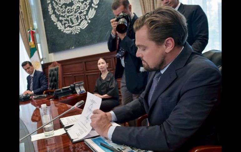 El Gobierno de México, la Fundación Leonardo DiCaprio y Fundación Carlos Slim firmaron un Memorándum para tal apoyo. NTX / ESPECIAL
