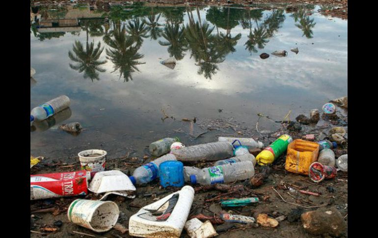 De acuerdo con datos de Greenpeace, al año se tiran cerca de ocho millones de toneladas de basura a los océanos. TWITTER / @NoticiasONU