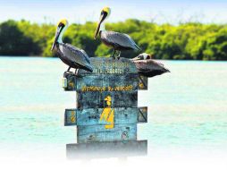 Río Lagartos, punto de encuentro y equilibrio natural. ESPECIAL / visitriolagartos.com