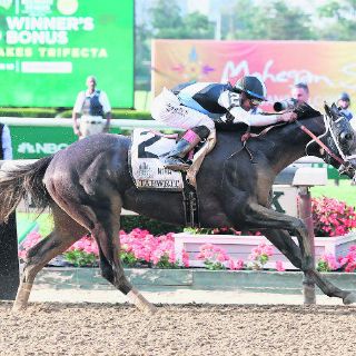 'Tapwrit' pone el punto final