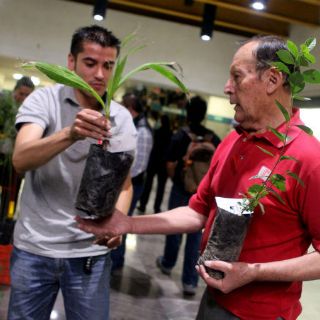 Extra supera récord de entrega gratuita de árboles a ciudadanos