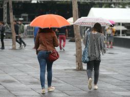 Alertan por el riesgo de inundaciones y posible caída de granizo. EL INFORMADOR / ARCHIVO