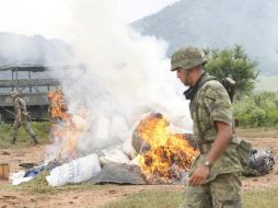 En estos plantíos se destruyeron por medio de incineración alrededor de 512 mil 400 plantas del estupefaciente. EL INFORMADOR / ARCHIVO