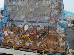 El primer embarque de arándanos a China consta de 420 cajas de kilo y medio. EL INFORMADOR / A. Gallegos