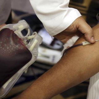 Hoy, Día Mundial del Donante de Sangre