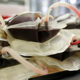 Donación de sangre se puede hacer al menos hasta tres veces por año