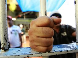 El operativo se llevó a cabo en coordinación entre la Policía Estatal, la Sedena y la Segbob. EL INFORMADOR / ARCHIVO