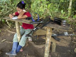 Las FARC tienen más de 900 caletas con armas, las cuales deberán ser ubicadas y destruidas por la ONU. AFP / R. Arboleda