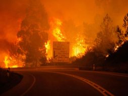 Alrededor de 180 bomberos, 52 vehículos terrestres y dos aviones se encuentran combatiendo el fuego en Portugal. EFE / P. Cunha