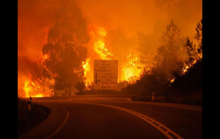 Alrededor de 180 bomberos, 52 vehículos terrestres y dos aviones se encuentran combatiendo el fuego en Portugal. EFE / P. Cunha