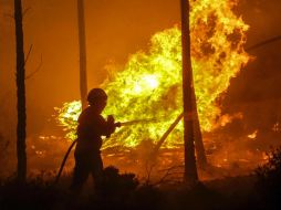 Más de 700 efectivos terrestres combaten el fuego, apoyados por medios aéreos. EFE / P. Novais