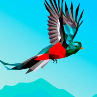 Videojuego protege aves en peligro de extinción