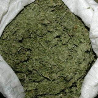 Investigan tras decomiso de mariguana en Carretera a Chapala