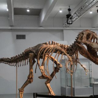 Un apocalipsis volcánico dio pie a la era de los dinosaurios: estudio