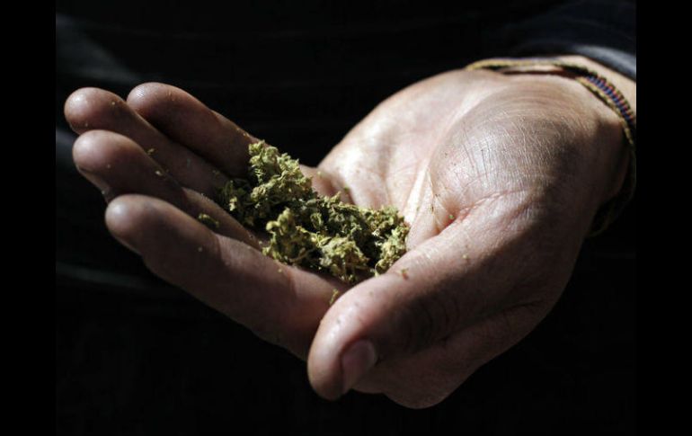 Este martes, se publicó en el Diario Oficial de la Federación el decreto que legaliza el uso de mariguana con fines terapéuticos. EL INFORMADOR / ARCHIVO