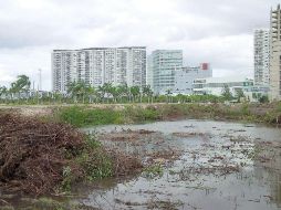 Luego de la autorización de la Semarnat en 2005, se llevaron a cabo trabajos de tala y remoción del manglar con maquinaria pesada. SUN / ARCHIVO