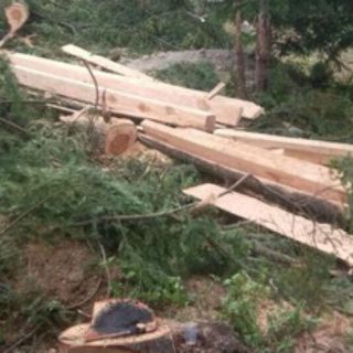 La Profepa realiza operativo forestal en Puebla y Tlaxcala