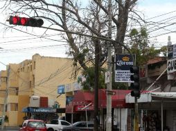 En el cruce de Avenida Manuel M. Ponce y la calle Federico Medrano hay un árbol semiseco que podría caer en alguna tormenta. EL INFORMADOR / M. Vargas