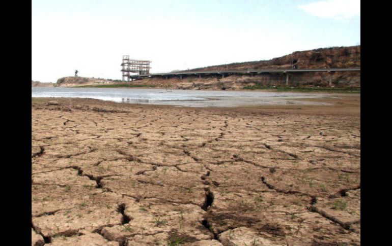 En la mitad de las regiones estudiadas, las sequías se prolongaron una semana más. EL INFORMADOR / ARCHIVO