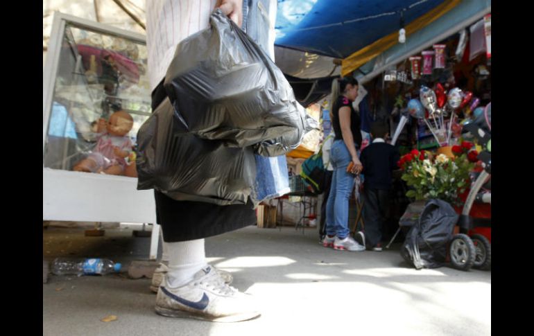 Se estima que a nivel mundial mil 341 especies se han visto afectadas por el impacto de las bolsas de plástico. EL INFORMADOR / ARCHIVO