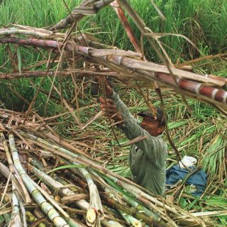 México y EU firman nuevo acuerdo azucarero