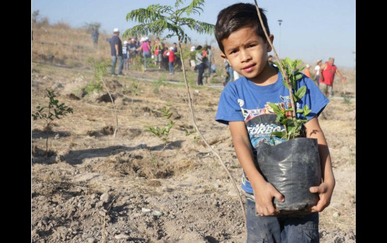 El Ayuntamiento prevé que 300 mil residentes serán beneficiados con la macrorreforestación. FACEBOOK / GobiernodeTlajomulco