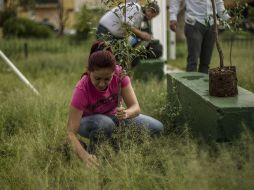 Para mejorar la supervivencia de los árboles, las especies a plantar fueron elegidas según las características del terreno. EL INFORMADOR / ARCHIVO