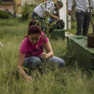 Tlajomulco prioriza megarreforestación en cuatro zonas