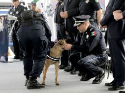 La reunión se hizo con presencia del Comisionado Nacional de Seguridad, Renato Sales y Manelich Castilla. TWITTER / @ManelichCC
