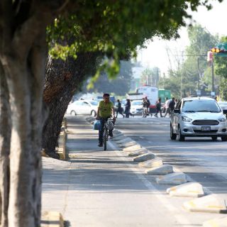 Observatorio Ciudadano de Movilidad, en contra de consulta sobre ciclovía