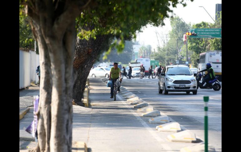 ‘Vemos con preocupación que se pongan a consulta de mayorías los derechos de la movilidad peatonal y ciclista’, afirman. EL INFORMADOR / ARCHIVO