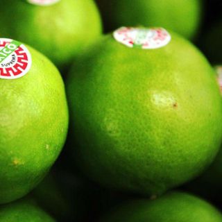 Campo jalisciense avanza en producción ‘premium’ de limón persa