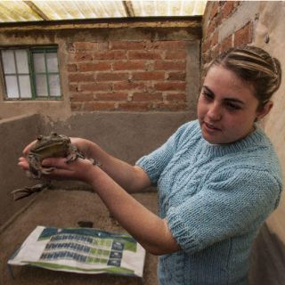 Campo es lugar propicio para innovación de los jóvenes