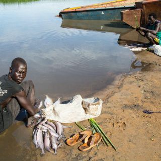 Un SOS por Sudán del Sur, avalado por agencias de la ONU