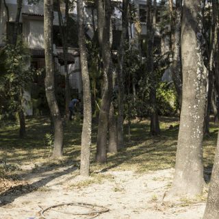 Agreden a tiros a un hombre dentro del Bosque Los Colomos