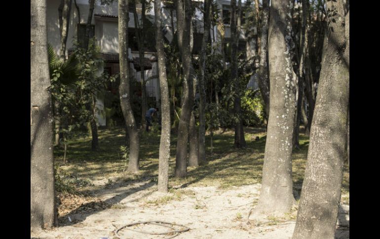 El cuerpo fue encontrado en el kilómetro 5 de la pista. EL INFORMADOR / ARCHIVO