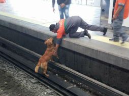 En la página de Facebook ‘Un Millón de Esperanzas’, aseguran que se trató de salvar al perro, pero trabajadores lo impidieron. FACEBOOK / Un Millón de Esperanzas