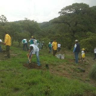 La Semadet incia temporada de reforestación y restauración en Jalisco