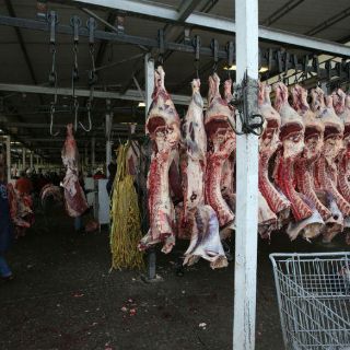 Clausuran rastro en Tepatitlán por mal manejo de residuos